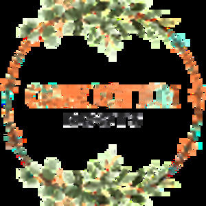 Meet your Posher, Krystal